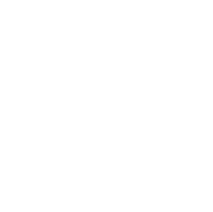 origami-research-data-insights-icon-wjhite